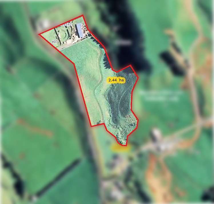 407 Plymouth Road Koru_7