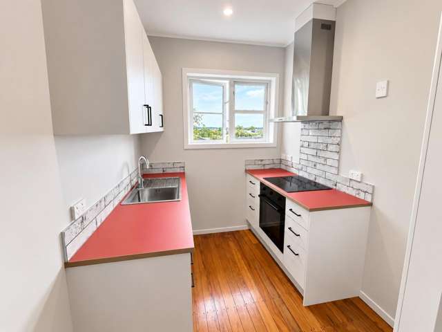 23 Benfield Avenue Mount Albert_2