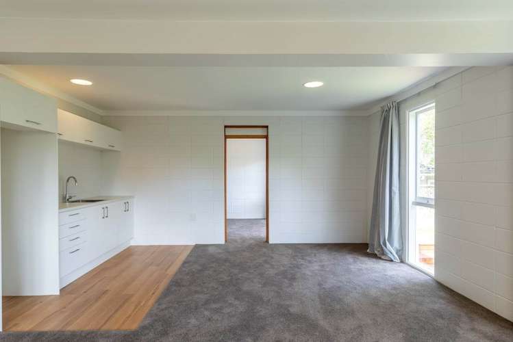 3 Whytehead Crescent St Heliers_9
