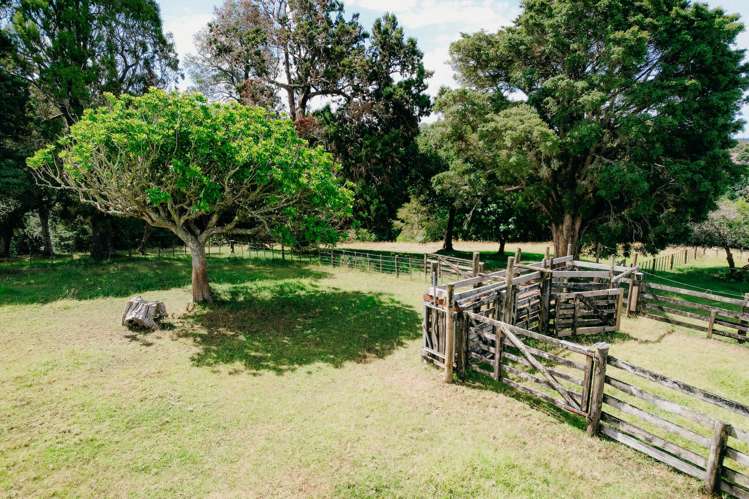48 Bedlington Street Whau Valley_45