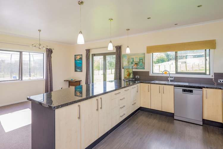 106 Potts Road Koputaroa_5