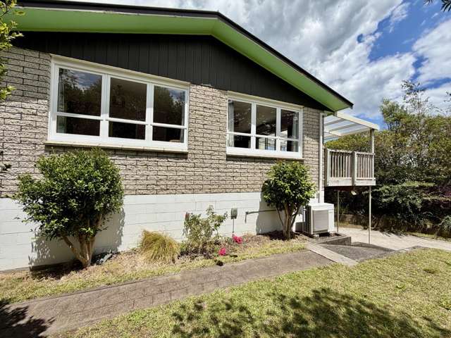 217 West Parkdale Street Tokoroa_2