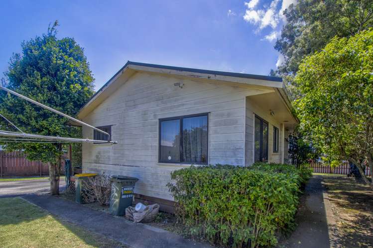 231 Finlayson Avenue Clendon Park_15