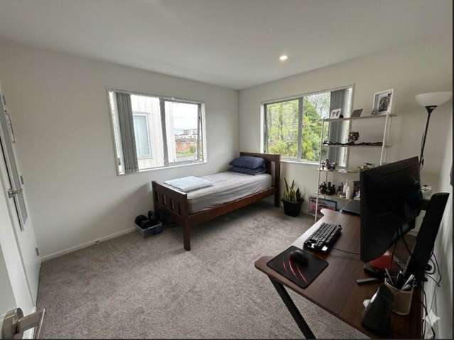 Wyllie Road Papatoetoe_3