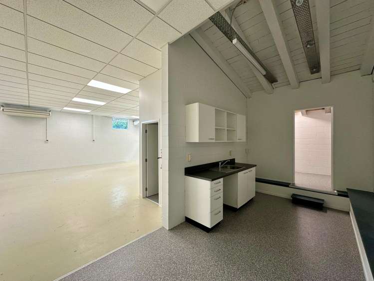 4 Minnie Street Eden Terrace_5