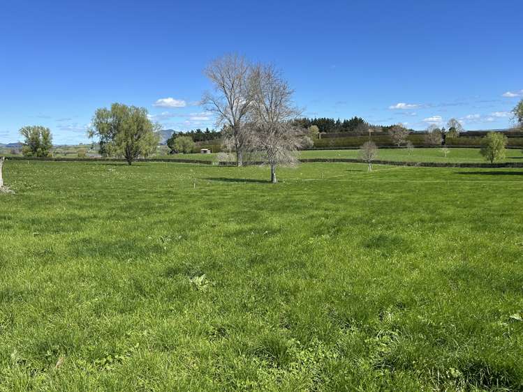 162 Bowman Road Te Awamutu_6