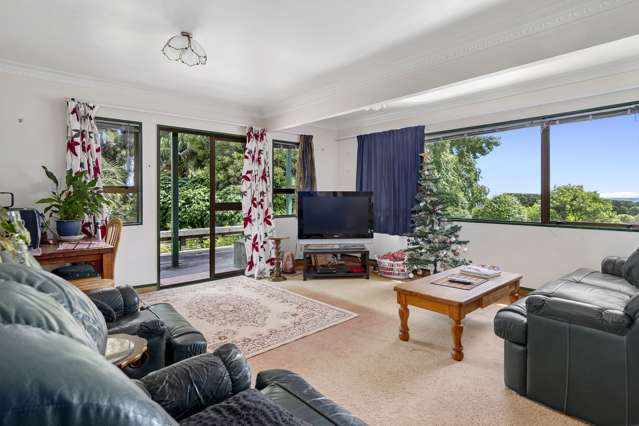 46 Laurel Drive Whakamarama_2