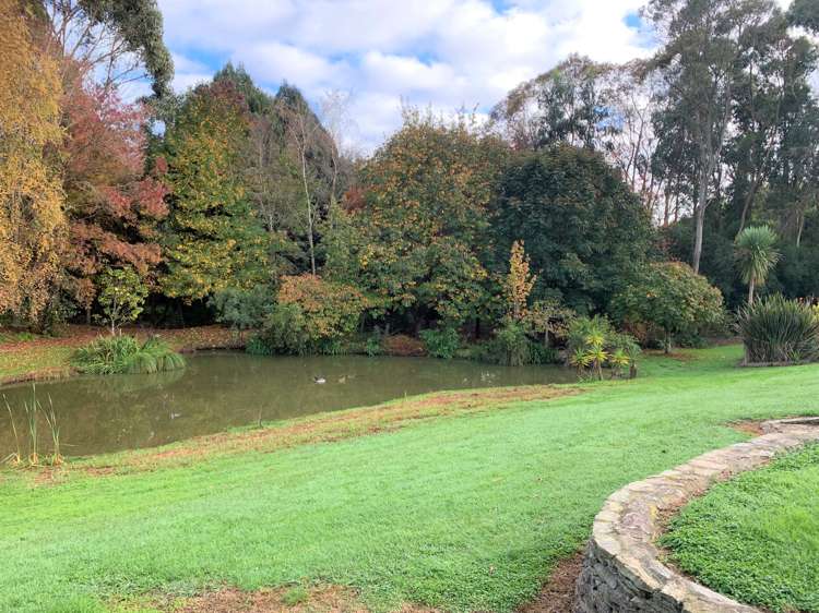 91 Te Whanga Road Levin_10