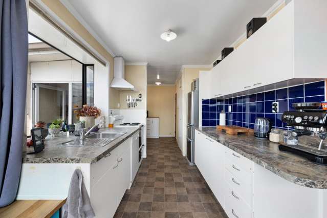 20B Alma Street Renwick_3