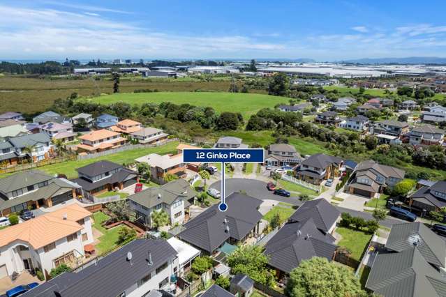 12 Ginko Place Mangere_1