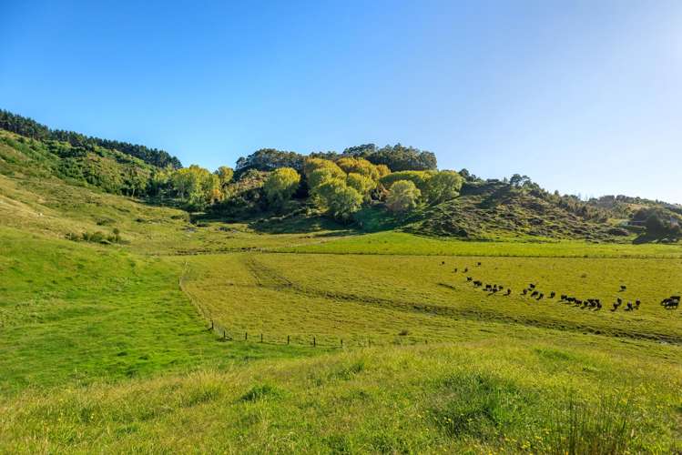 Lot 2 Repongaere Road Patutahi_8