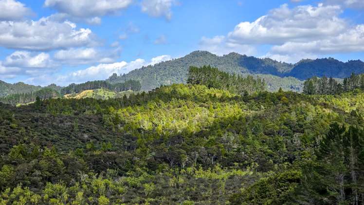 3211 Russell Road Whangaruru_8