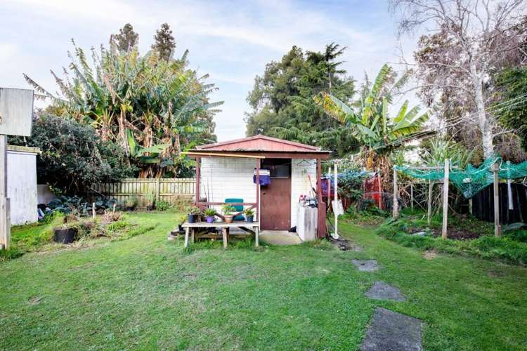 11 Hibiscus Avenue Hamilton Lake_16