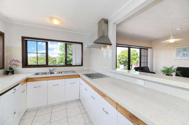 1 Tropicana Drive Mount Roskill_1