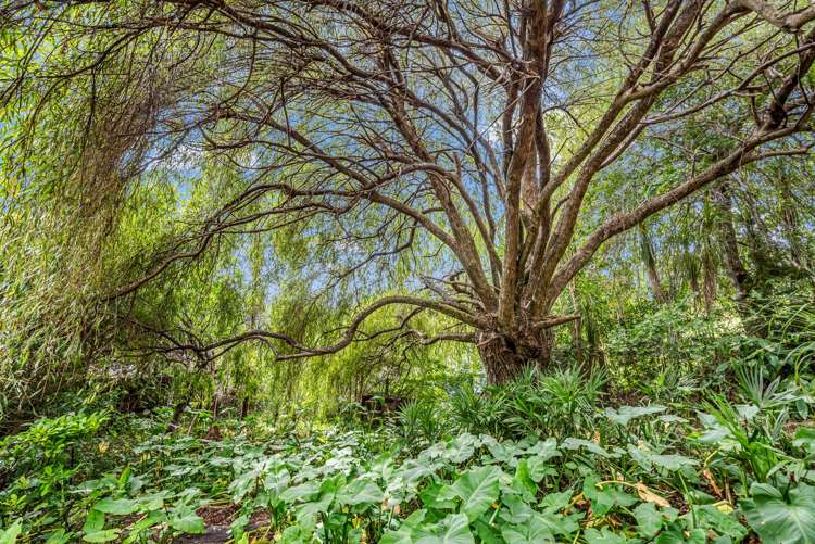 11 Moffat Road Red Beach_26