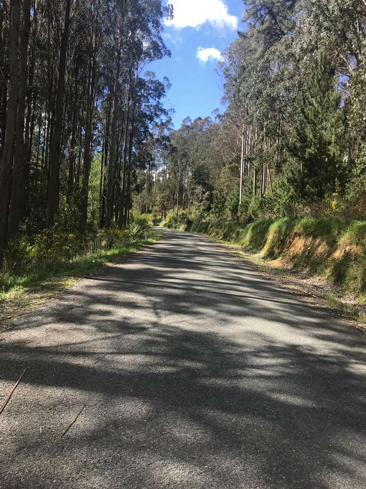 815 Thorpe-Orinoco Road Thorpe_16