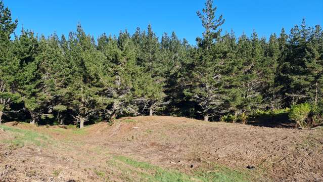 95 Te Kohanga Road Whakamarama_3