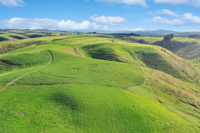 393A Pukeuri-Oamaru Road Pukeuri_4