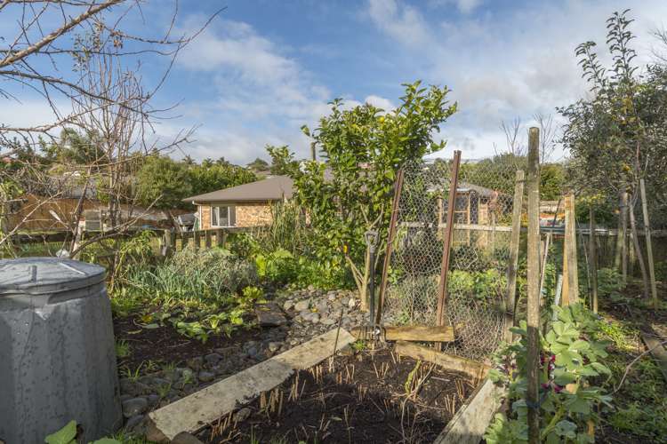 1 Mckenna Lane Omokoroa_20