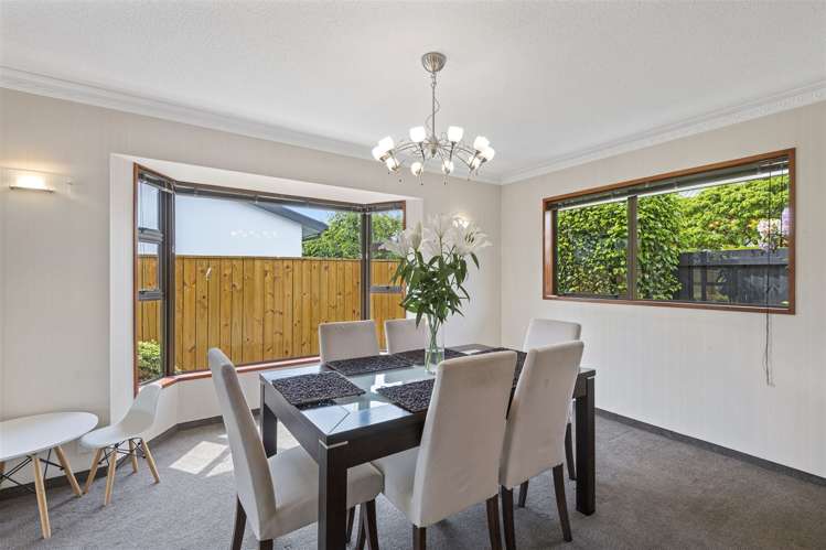 47a Aylmer Street Sydenham_5