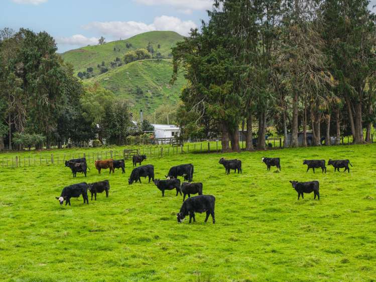 232 Kotare Road Ruakituri_1