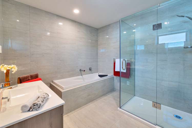 107a Sturges Road Henderson_12