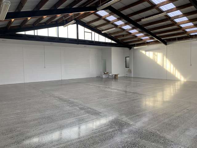 62 Hawdon Street Sydenham_4