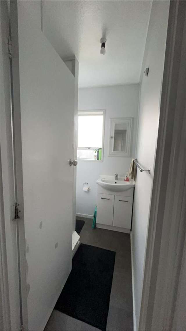 19a Greenlane Road Taupiri_2