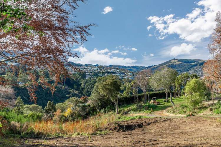 76 Cannington Road Maori Hill_18
