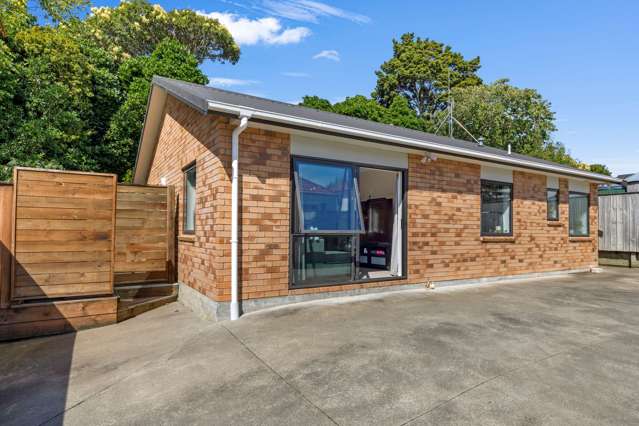 11 and 11a Rangiora Ave Roslyn_1