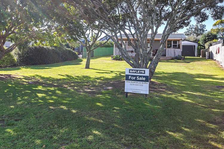 224 Tui Road_4
