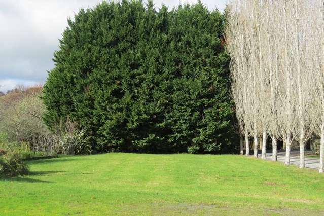 24 Ngunguru Road Glenbervie_2