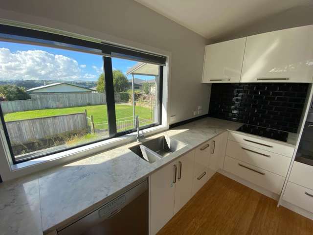 55 Prospect Terrace Pukekohe_1