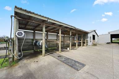 59 Racecourse Road_3