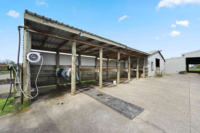 59 Racecourse Road Cambridge_3