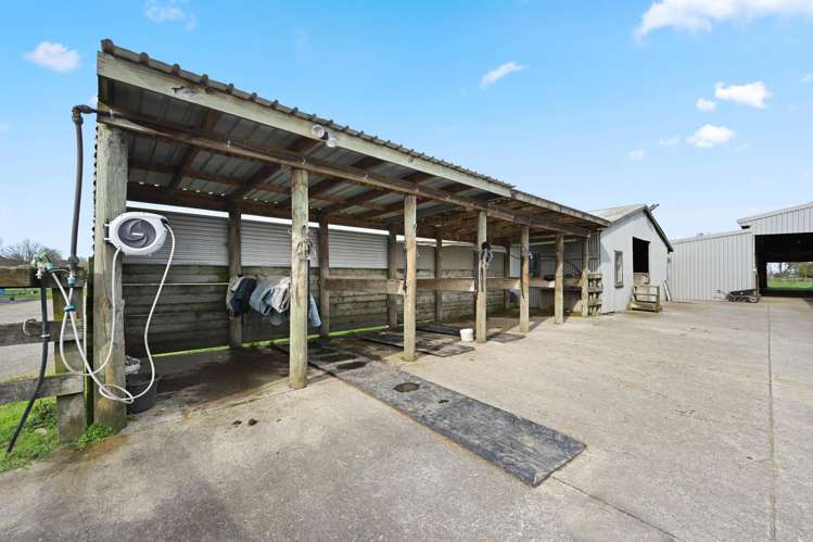 59 Racecourse Road Cambridge_3