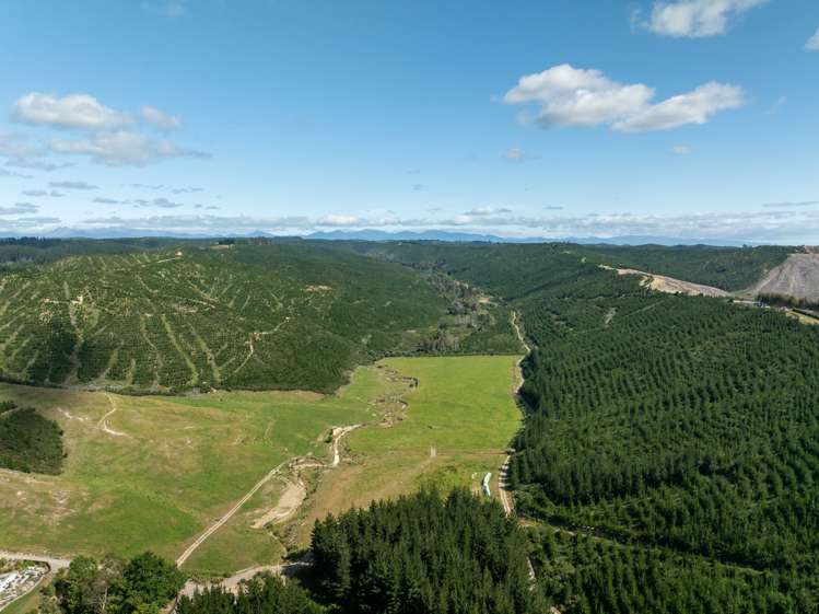 242 Teapot Valley Road Brightwater Tasman Houses for Sale One Roof