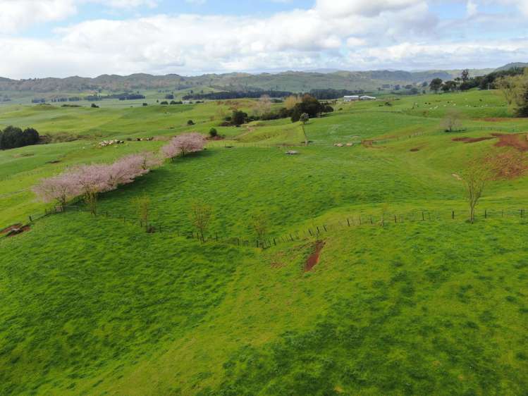 694 Troopers Road Te Kuiti_39