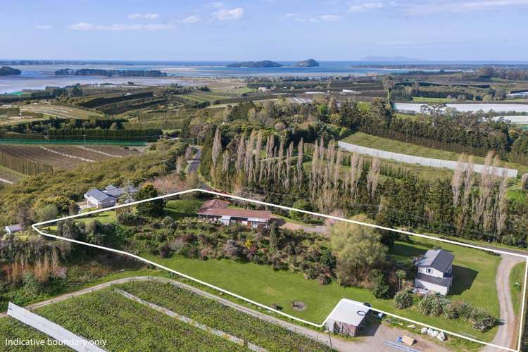 69 Martray Road Katikati_26