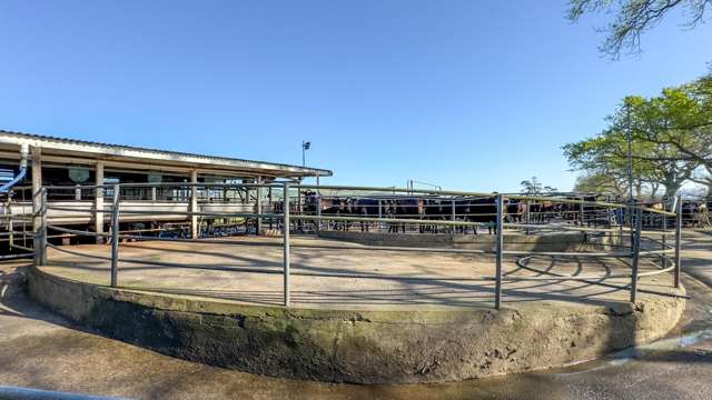 202 Rotokohu Road Paeroa_1