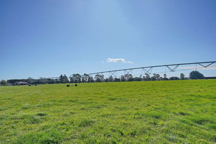 729 Terrace Road Bankside_15