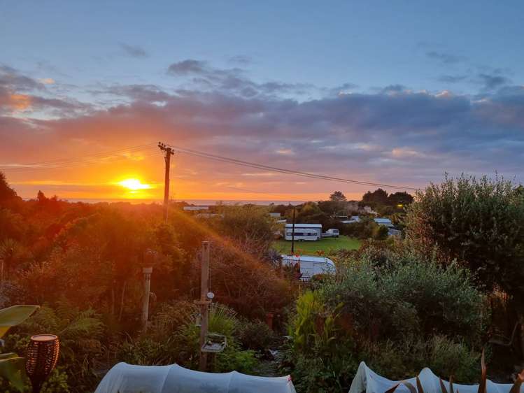 28 Nikau Heights Kahurangi National Park_25
