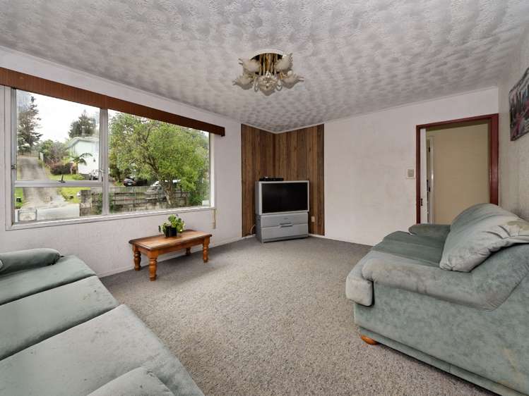 19 Leo Street Glen Eden_3