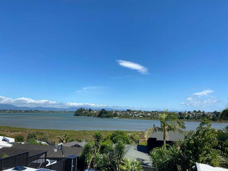 40 Margaret Road Bellevue_19