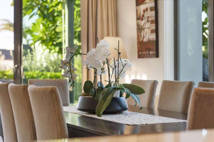 9/11 Taranaki Road Kohimarama_21