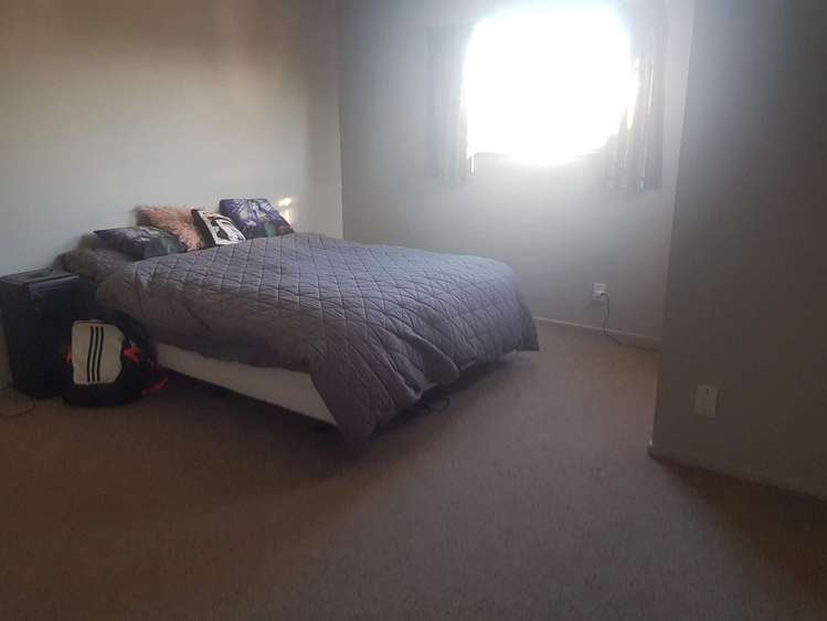 55 Lowry Avenue Redwood_7