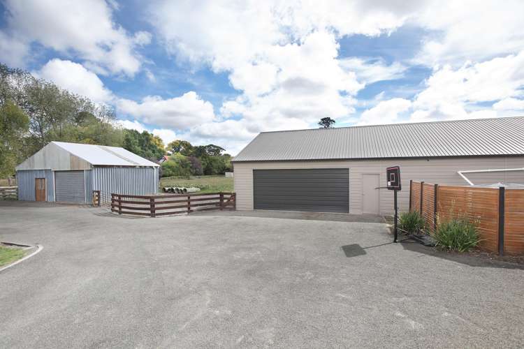 455b State Highway 1 Bulls_25