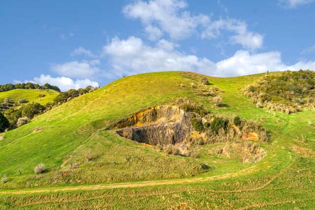 Ararimu Road Hunua_4