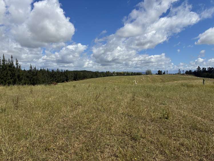 Opihi School Road Pleasant Point_1