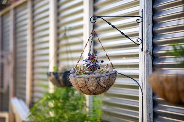 2 Ballybunnion Crescent Morrinsville_19